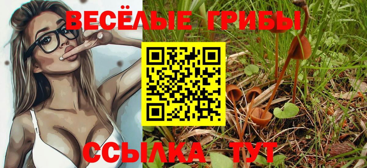 Галлюциногенные грибы мицелий  Вход с VPN  Киселёвск 